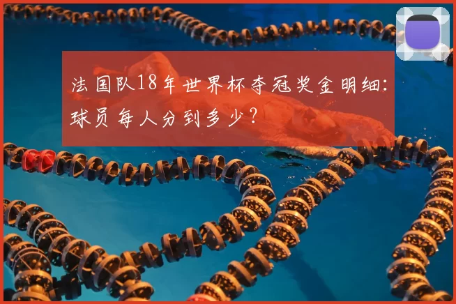 法国队18年世界杯夺冠奖金明细：球员每人分到多少？