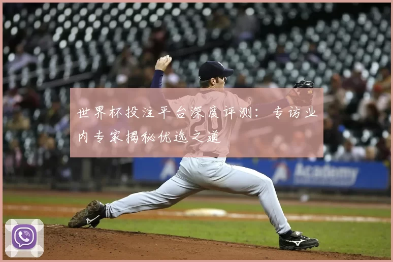 世界杯投注平台深度评测:专访业内专家揭秘优选之道