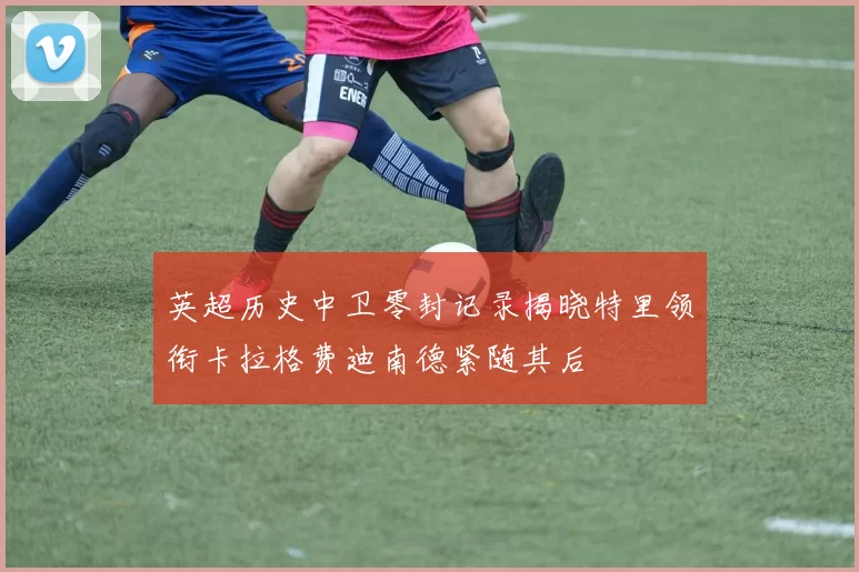 英超历史中卫零封记录揭晓特里领衔卡拉格费迪南德紧随其后
