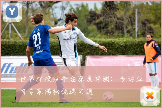 世界杯投注平台深度评测:专访业内专家揭秘优选之道