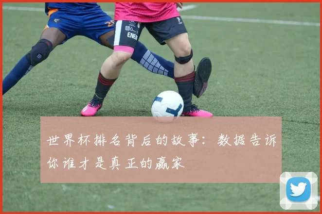 世界杯排名背后的故事:数据告诉你谁才是真正的赢家
