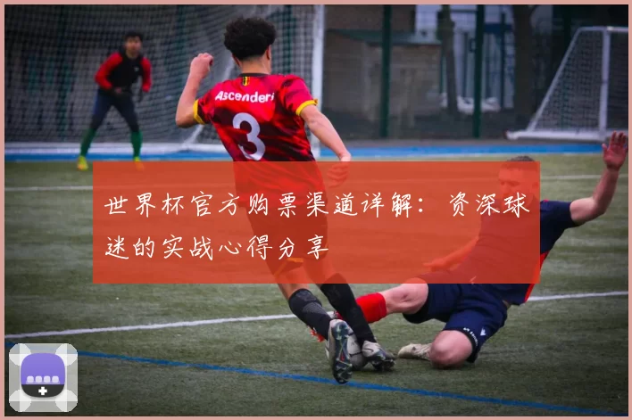 世界杯官方购票渠道详解:资深球迷的实战心得分享