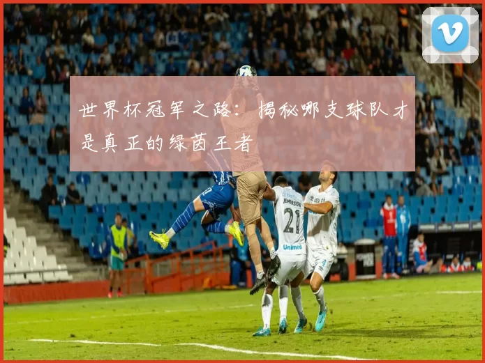 世界杯冠军之路:揭秘哪支球队才是真正的绿茵王者