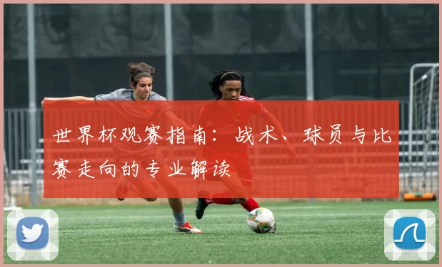 世界杯观赛指南:战术、球员与比赛走向的专业解读