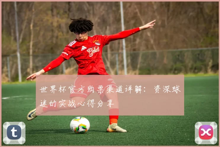 世界杯官方购票渠道详解:资深球迷的实战心得分享