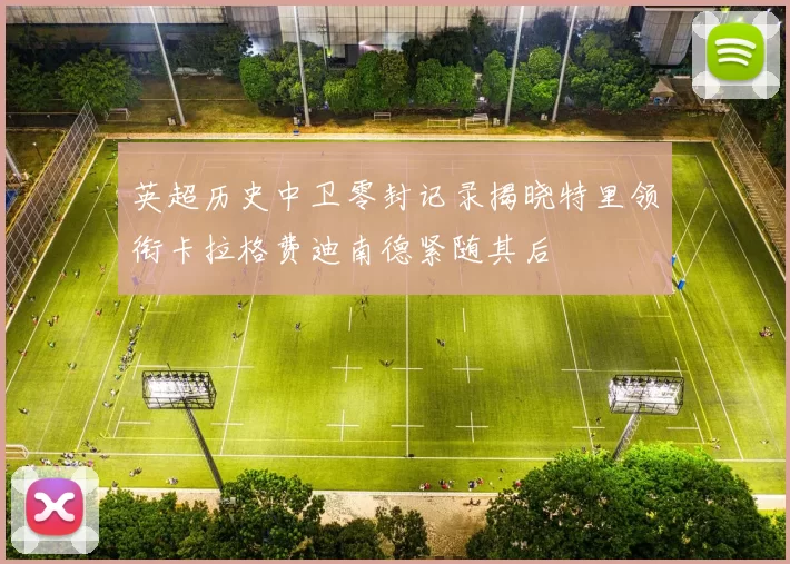 英超历史中卫零封记录揭晓特里领衔卡拉格费迪南德紧随其后