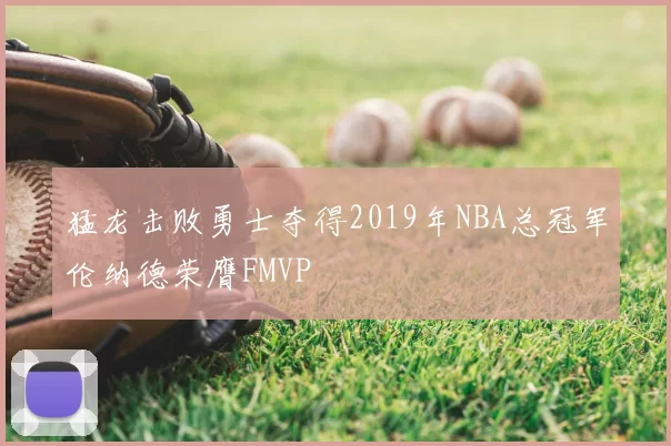 猛龙击败勇士夺得2019年NBA总冠军伦纳德荣膺FMVP