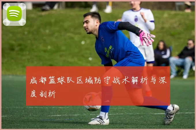 成都篮球队区域防守战术解析与深度剖析