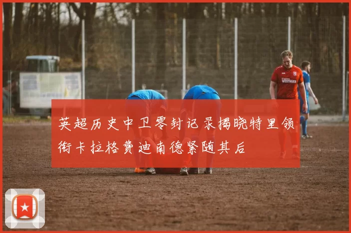 英超历史中卫零封记录揭晓特里领衔卡拉格费迪南德紧随其后