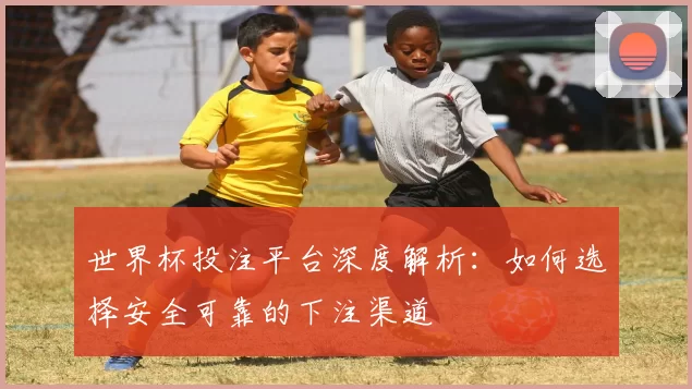 世界杯投注平台深度解析：如何选择安全可靠的下注渠道